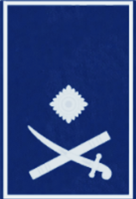 Deputy Commissioner Epaulette