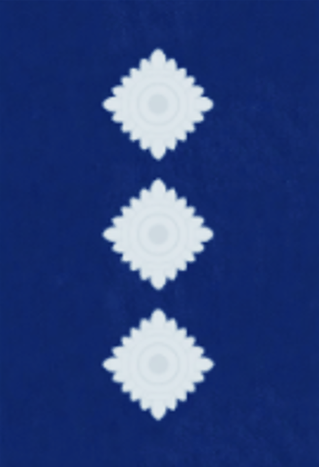 Inspector Epaulette