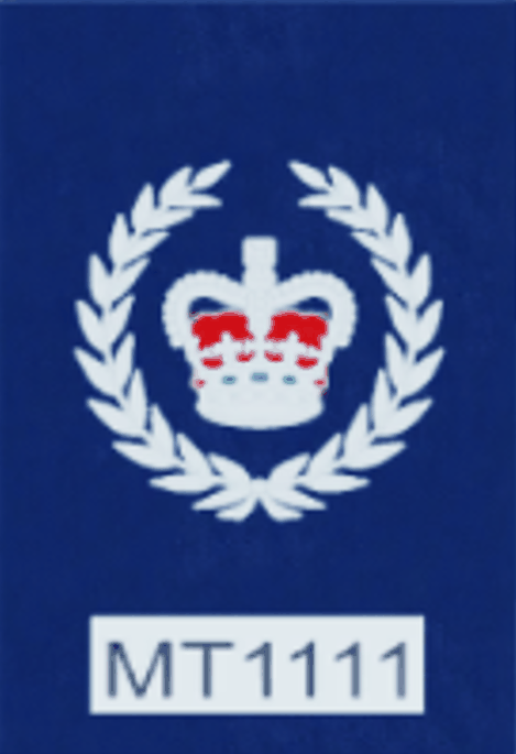 Senior Sergeant Rank Slide
