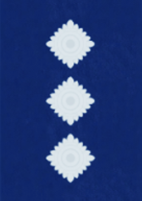 Inspector Rank Slide