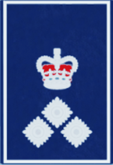 Assistant Commissioner Epaulette