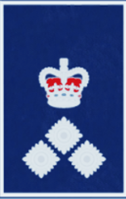 Assistant Commissioner Epaulette