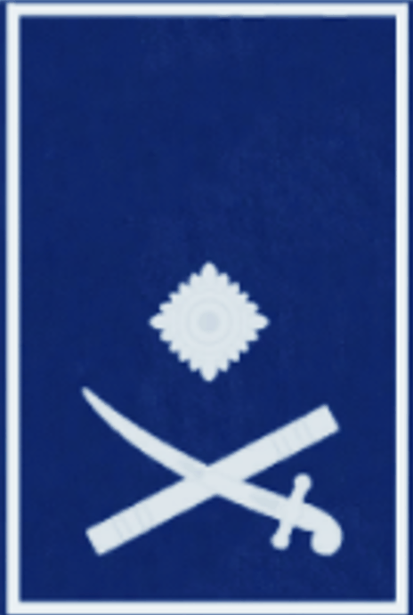 Deputy Commissioner Epaulette