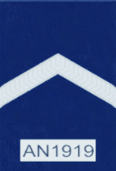Senior Constable Epaulette