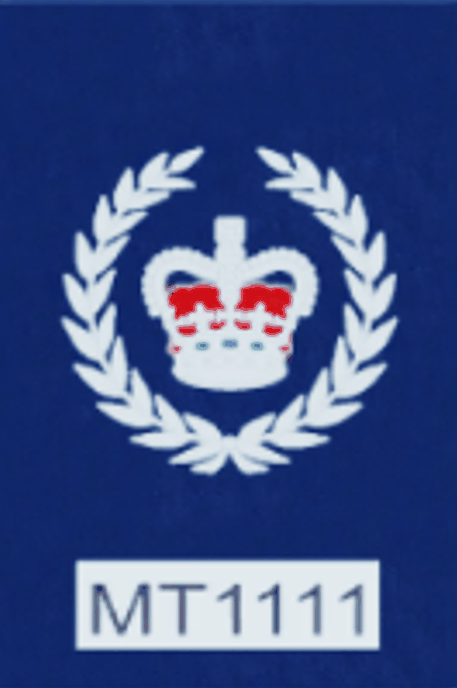 Senior Sergeant Epaulette