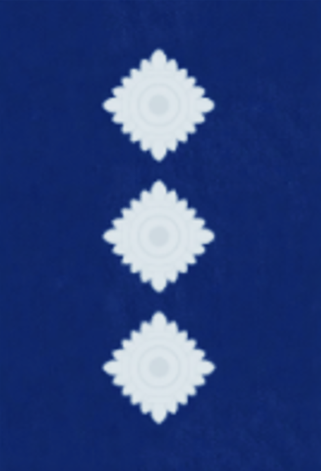 Inspector Epaulette