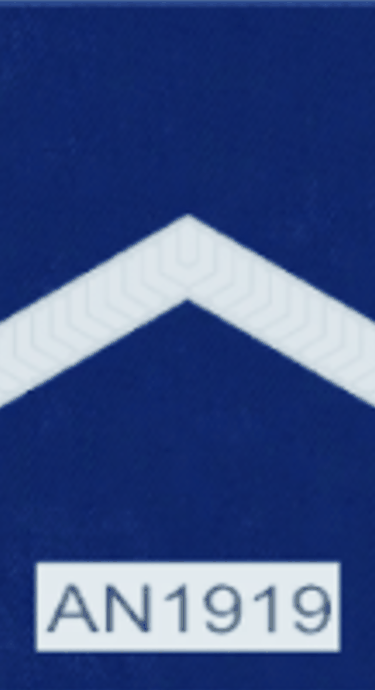 Senior Constable Epaulette